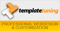 PROFESSIONAL WEBDESIGN & CUSTOMIZATION